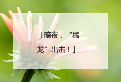 暗夜，“猛龙”出击！